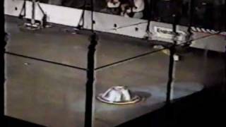 Robot Wars 1997  Blendo vs Punjar [upl. by Morty]