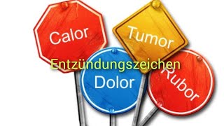 Entzündungszeichen Ursachen und Behandlung [upl. by Risa]