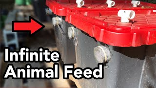 How To Make Infinite FREE Animal Feed [upl. by Walburga]