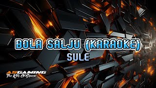 BOLA SALJU  SULE KARAOKE [upl. by Inafetse]