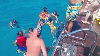 How to do snorkeling for beginners kids and seniors in Orange bay Hurghada Island Snorkeling Trip [upl. by Darya]