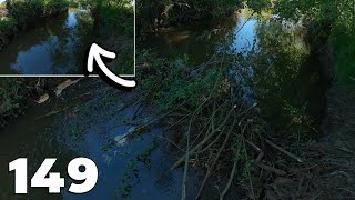 Pleasant Sound Of Water  Manual Beaver Dam Removal No149 [upl. by Jarnagin]