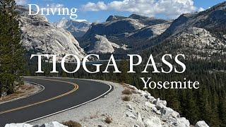 81 Tioga Pass  Yosemite  Lee Vining [upl. by Nallid421]