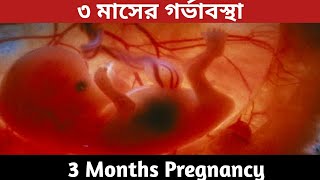 ৩ মাসের গর্ভবর্তী3 Months Pregnancy Banglaগর্ভাবস্থার ৩মাস শিশুর বিকাশ9 week to 12 week pregnancy [upl. by Gilligan]