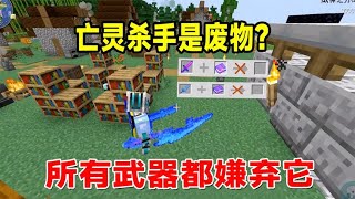 我的世界烦人的村民95：亡灵杀手在烦村是废物？所有武器都嫌弃它 [upl. by Ireva638]