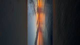 Golden Shimmer on Lake Michigan sunrise ripples greatlakes [upl. by Nageet340]