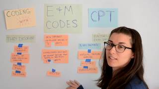 Intro to EampM Codes in CPT [upl. by Kristopher]