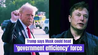 JUST IN Trump Says Elon Musk Has Agreed To Head Government Efficiency Task Force [upl. by Cotterell]