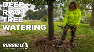 Deep Root Tree Watering in Action [upl. by Siobhan]