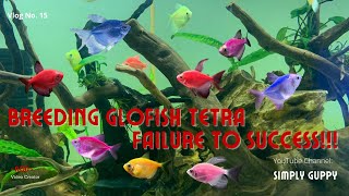 Glofish Tetra Breeding  Vlog 15 [upl. by Noellyn]