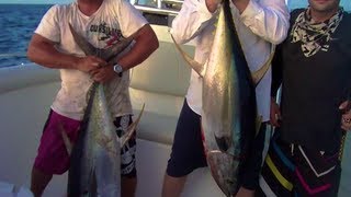 Two 60lb Yellowfin Landed In Bahamas Tuna Fishing In Port Lucaya Grand Bahama Island [upl. by Evelina]