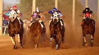 Carreras de Caballos en el Hipodromo de Rayon 04 Octubre 2020 [upl. by Pelagi601]