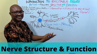 Introduction to Excitable Tissues [upl. by Gnurt668]