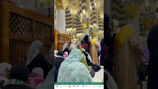 Our Hujjaj Exploring Masjid al nabawi  UmrahWithAimahTours [upl. by Assirahc]