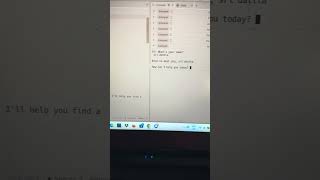 Replit Python Chatbot  Sri Datta Penumaka [upl. by Vine]