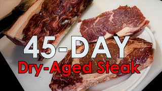 45 Day DryAged Steak at Home  using USDA Choice Ribeye [upl. by Aicele873]