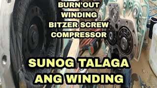 Bitzer screw compressor burn out winding bernales07vlog16ofw [upl. by Htbazile555]