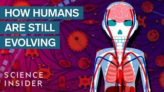 3 Surprising Ways Humans Are Still Evolving [upl. by Alard464]