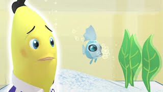 The Bananas New Pet  Bananas in Pyjamas Season 1  Full Episodes  Bananas In Pyjamas [upl. by Ravahs]