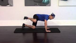 how to do the Dirty Dog leg exercise [upl. by Aklim]