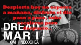 soja feat dread mar i  everything changes con letra [upl. by Nancee]