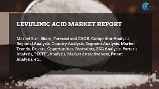 Levulinic Acid Market Report 2024 [upl. by Greenleaf]