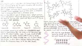 Introduction to DNA [upl. by Adnamma]