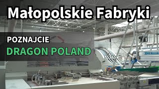 Dragon Poland Innowacje w produkcji chemii budowlanej  Polska Strefa Inwestycji 1 [upl. by Nailil394]