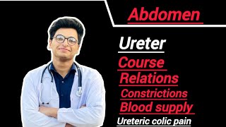 Ureter course  relations contrictions blood supply [upl. by Menard374]