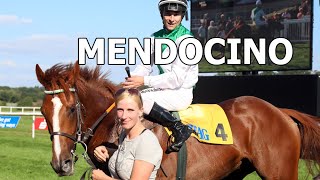 MENDOCINO présenté par son jockey R Pietchulek et son entraineur S Steinberg nouvel étalon 2024 [upl. by Sela668]