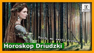 Horoskop Druidzki  Każdy ma swoje drzewo [upl. by Mylan]