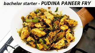 Pudina Paneer Fry  DHABA FAST STARTER RECIPE  CookingShooking [upl. by Ydur]