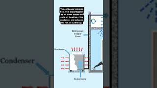 Basics of How Air Conditioning Works Part 2 hvac shortvideo airconditioner condenser [upl. by Akemak]