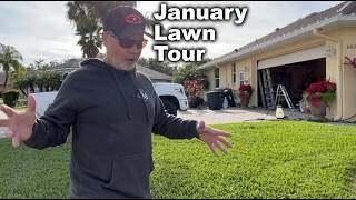 ProVista Weed Control and Fert  January Lawn Tour  All Around My Yard [upl. by Haraz]