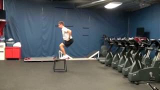 LOWER PLYOMETRICS POWER BOX JUMPCountermovement Jump Squat to Box Continuous [upl. by Iilek]