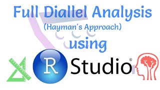 Full Diallel Analysis Haymans Approach using R Studio An easy UrduHindi Tutorial [upl. by Notrem]