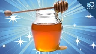 Honey Magical Immortal Superfood [upl. by Sedgewick712]