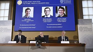 Il Nobel per la Chimica a David Baker Demis Hassabis e John M Jumper per la ricerca sulle proteine [upl. by Yob]