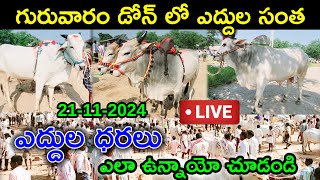 21112024 గురువారం డోన్ లో ఎద్దుల సంత  సంతలో పలికిన రేట్లు చూద్దాం Dhone Bulls Market [upl. by Eixel]