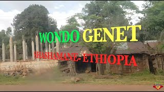 TASHA T VISITSWONDO GENET IN ETHIOPIA [upl. by Juna475]