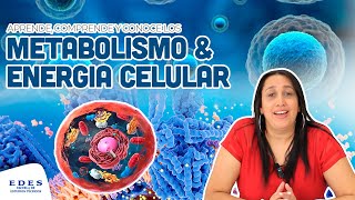 El METABOLISMO amp la ENERGIA 🔋CELULAR 🦠 EDES [upl. by Dunstan]