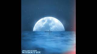 Arman Cekin x Faydee  Without You Official Audio [upl. by Spohr]