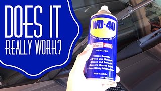 WD40 Hack on Wiper Blades Does it really work [upl. by Nonac]