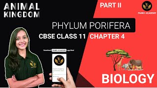 PHYLUM PORIFERA  Animal Kingdom  Class 11 Biology Chapter 4  Pankh Academy  Part 2 [upl. by Antonia]