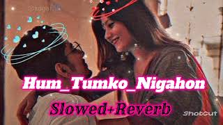 HumTumkoNigahon mein  slowedReverb Salman Khan Hind songs  lofi song [upl. by Liris617]