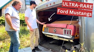 Insane Ford Mustang Collection Unearthed Boss 429 Shelby amp More [upl. by Anilac]