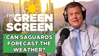 Beyond the Green Screen Podcast Can saguaros forecast the weather [upl. by Aleak]