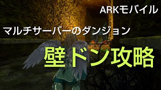 【ARKモバイル】壁ドン攻略！マルチサーバーのダンジョン！ラグ対策？！ [upl. by Tisbe31]