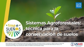 Sistemas Agroforestales una de las más importantes técnicas para la conservación de suelos [upl. by Mira]