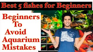 Best Fishes for Beginners  Top 5 best fishes for Aquarium  Beginners Aquarium Tips  Indian Aqua [upl. by Daeriam609]